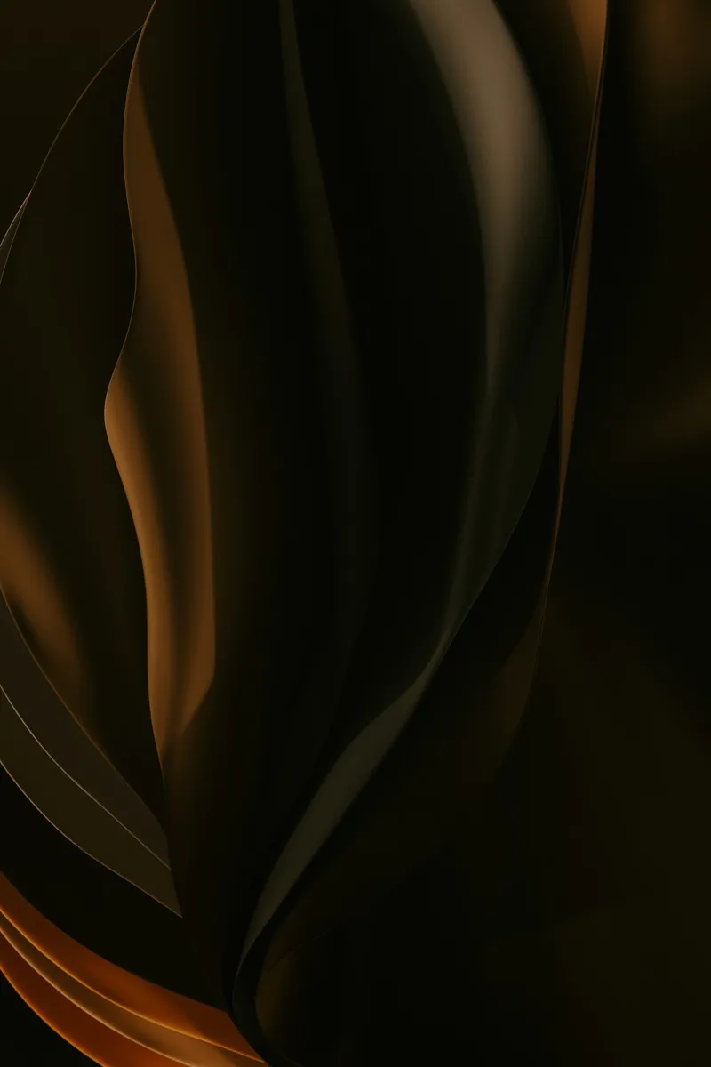 Abstract black and gold background with flowing curves